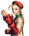 cammy-s4.png (214700 bytes)