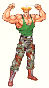 guile-early-sf2.png (212934 bytes)