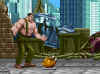 haggar-finalfight-turkey.jpg (76865 bytes)