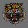 heihachi-tiger-emblem.jpeg (86962 bytes)
