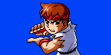 Mini Ryu
