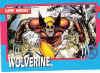 wolverine-1992.jpg (341830 bytes)