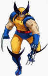 wolverine-marvelvscapcom-white.jpg (19626 bytes)