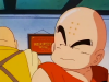 krillin-22nd-martial-arts-tournament.png (228702 bytes)