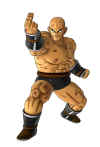 nappa-dragonballz-for-kinect-art.jpg (825657 bytes)