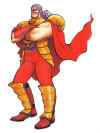 krauser-thick.jpg (51850 bytes)