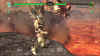 calibur4-6.jpg (240308 bytes)