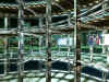 doa2-thespiral.jpg (45457 bytes)