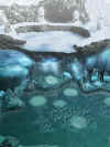 doa2-whitestorm.jpg (29505 bytes)