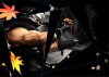 hayabusa-dim2.png (389772 bytes)