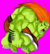 hd-re-blanka2.jpg (46695 bytes)