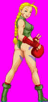 hd-re-cammy3.jpg (38321 bytes)