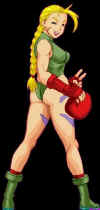 hd-re-cammy3.jpg (21583 bytes)