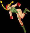 hd-re-cammy.jpg (26989 bytes)