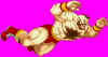 hd-re-zan2.jpg (75603 bytes)