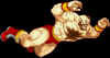 hd-re-zan2.jpg (43490 bytes)