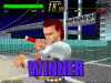 lastbronx-s17.gif (116443 bytes)