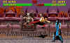 mk2-screen4.jpg (315849 bytes)