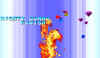 pocket-s46.jpg (144911 bytes)