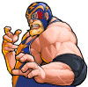 raidenwild.png (38717 bytes)