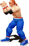 wolf-fightersmegamix-sprite.gif (14067 bytes)