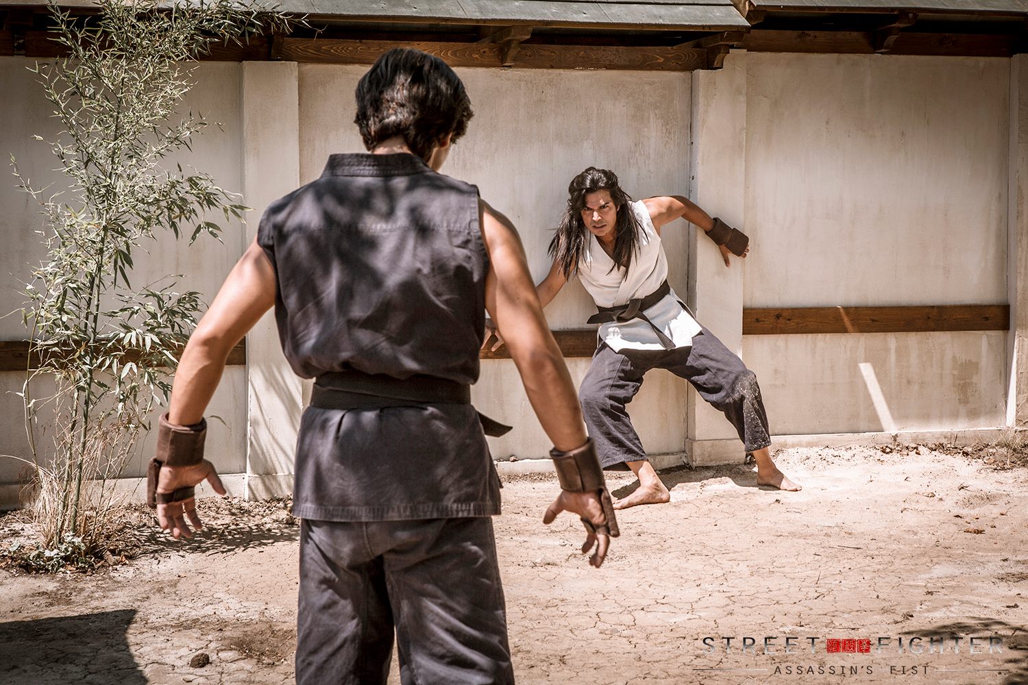 Download Street Fighter: Assassins Fist 1