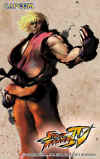 sf4-card7.jpg (29082 bytes)