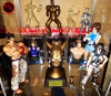 tekken-shelf-2016.png (2908482 bytes)