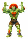 blanka-stand-sf2-by-mick-mcginty.jpg (16587 bytes)