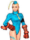 cammy-cvs2-fix.jpg (42658 bytes)