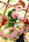 cammy-sf-battle-combination-special-artwork.png (1177541 bytes)