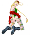 cammy-streetfighter-art-by-kinu-nishimura.png (661901 bytes)