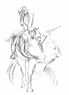 charlotte-horse-sketch.png (134162 bytes)