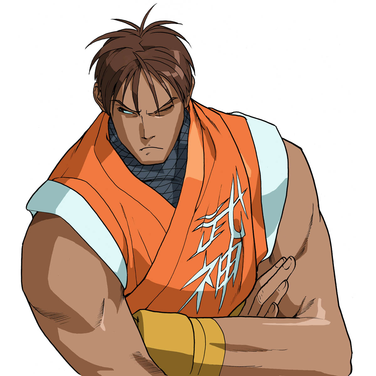 Street Fighter Alpha: The Animation, Street Fighter Wiki