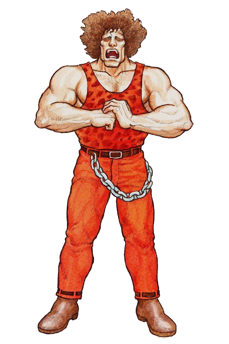 Final Fight Retrospective, Artwork, History / The Fighters Generation