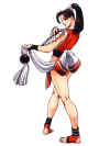 maishiranui-rb2.jpg (256846 bytes)