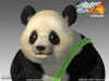 panda-tekken4-render.jpg (58373 bytes)