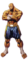 sagat-capcom-vs-snk-collaboration-poster-art.png (704647 bytes)