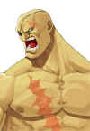 sagat-sfex3-select-art.jpg (172078 bytes)