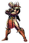 shaokahn-mk2-character-artwork.jpg (114827 bytes)