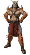 shaokahn-mk9-artwork.jpg (120883 bytes)