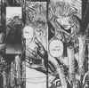 alucard-awakens.jpg (81329 bytes)