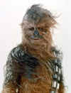 chewie-snow.jpg (361410 bytes)