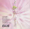 ellis-wins.jpg (451371 bytes)