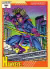 hawkeye-1991card.jpg (141721 bytes)