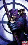 hawkeye-marvel.jpg (79107 bytes)