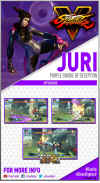 juri-han-sfv-trading-card.jpg (542071 bytes)