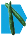 kappah-cucumber.png (24526 bytes)