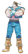 thawk-superstreetfighter2-newchallengers-artwork.png (794319 bytes)