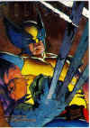 wolverine-1995-3.jpg (70593 bytes)